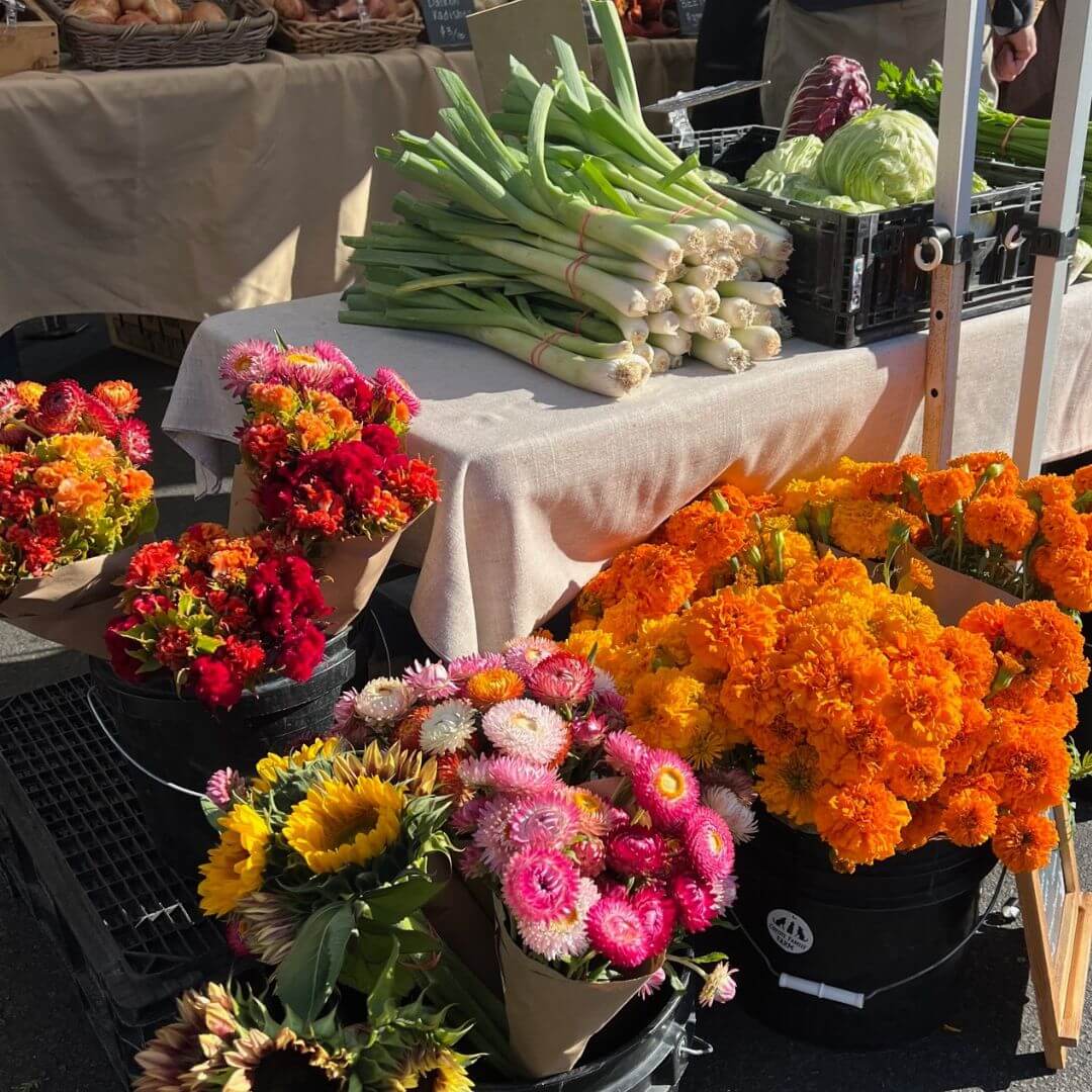 Agricultural Community Events Farmers' Markets Sonoma & Marin County